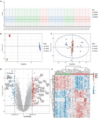 Predicting Diagnostic Gene Biomarkers Associated With Immune Checkpoints, N6-Methyladenosine, and Ferroptosis in Patients With Acute Myocardial Infarction